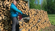 Заготовка дров в Рузском районе
